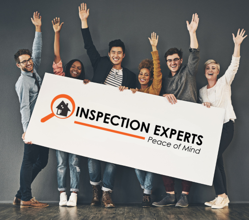 experts